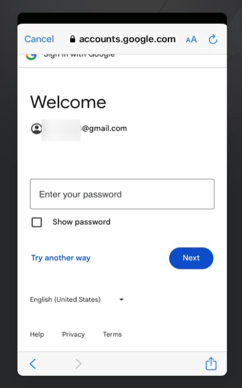 Google パスワード入力画面